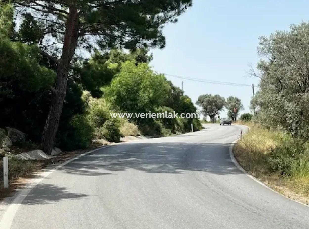 20 Acres Of Land Close To Zoning On Uzbek Road In Urla Rustam