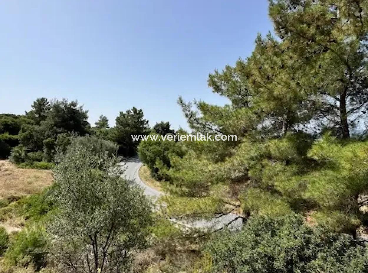 20 Acres Of Land Close To Zoning On Uzbek Road In Urla Rustam