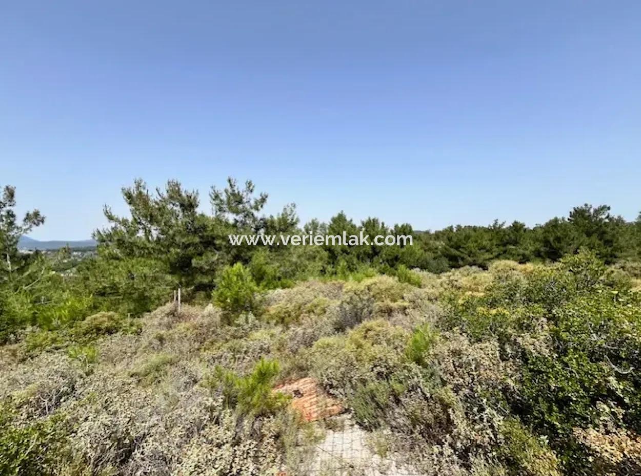 20 Acres Of Land Close To Zoning On Uzbek Road In Urla Rustam
