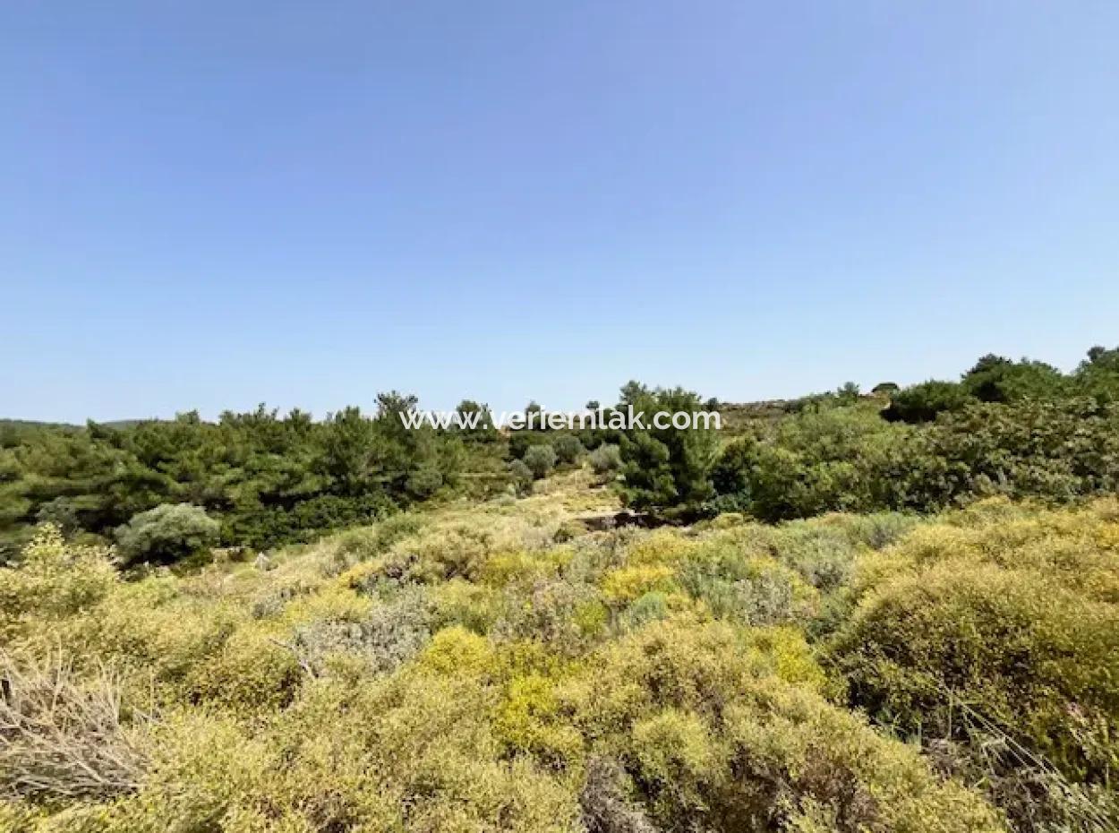 20 Acres Of Land Close To Zoning On Uzbek Road In Urla Rustam