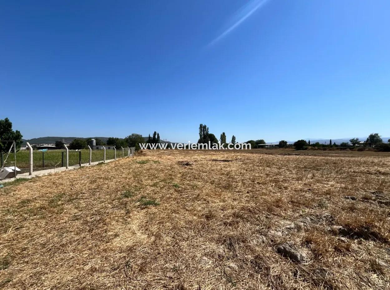 Unique Field In Seferihisar Düzce Neighborhood