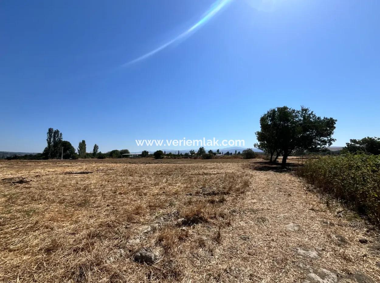 Unique Field In Seferihisar Düzce Neighborhood