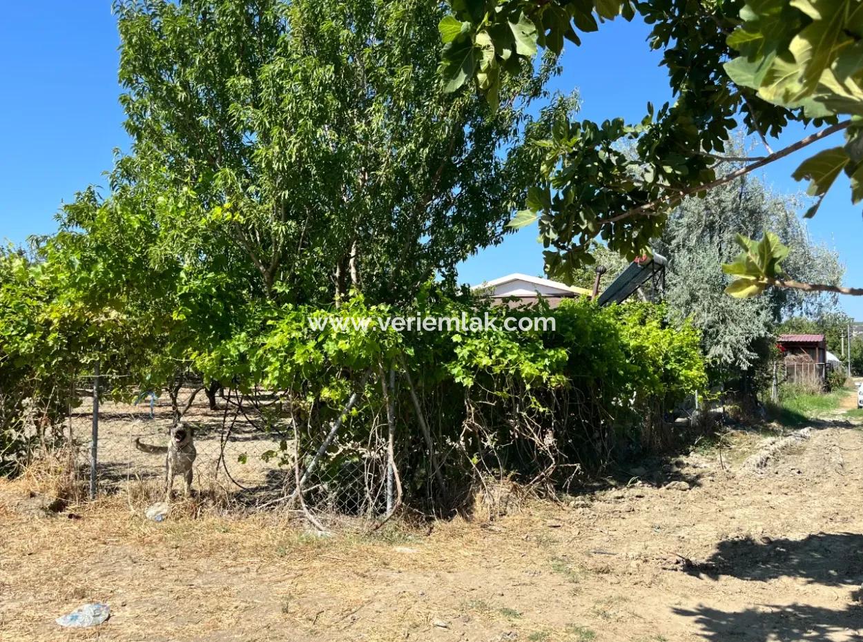 Unique Field In Seferihisar Düzce Neighborhood