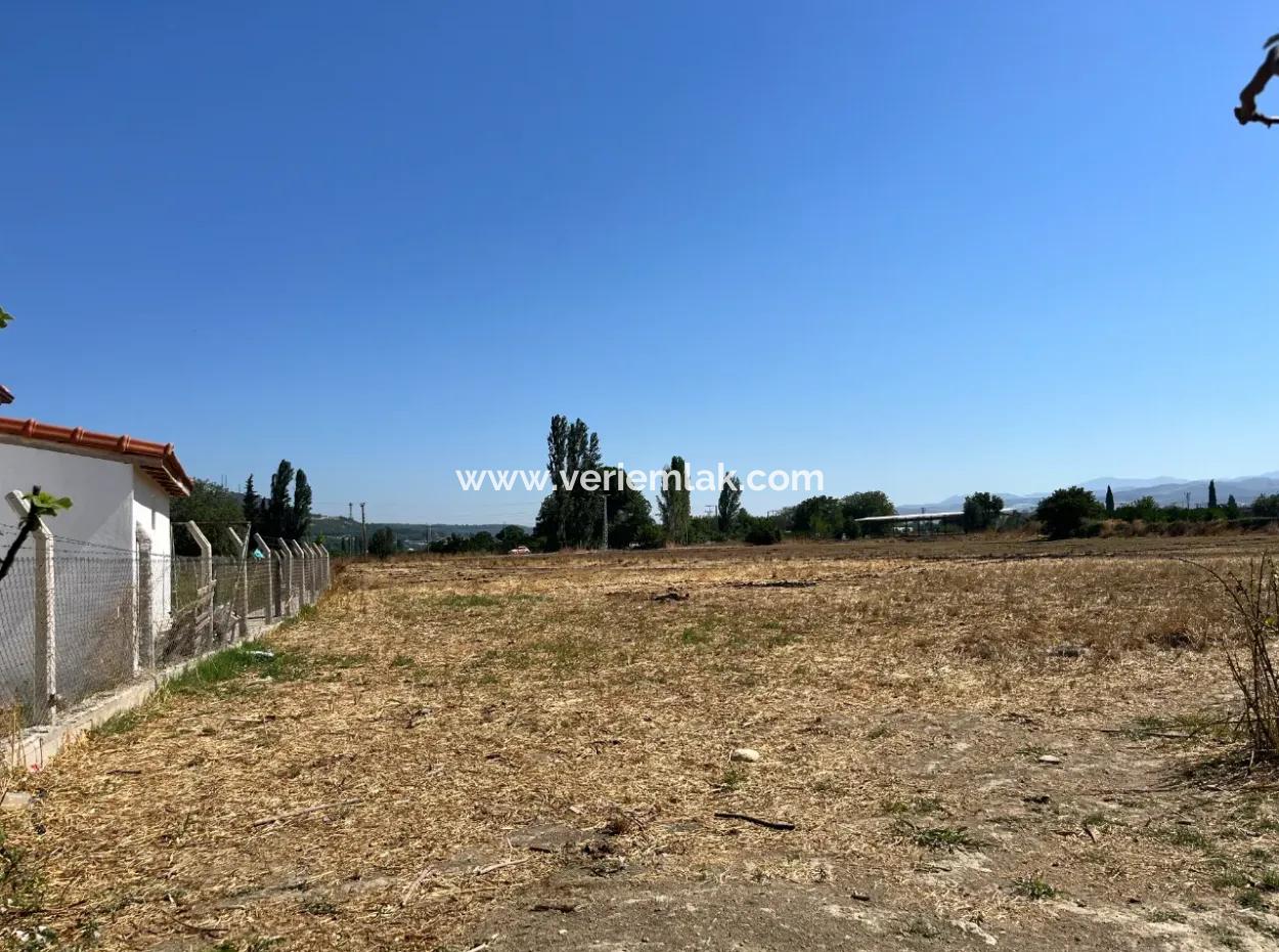 Unique Field In Seferihisar Düzce Neighborhood