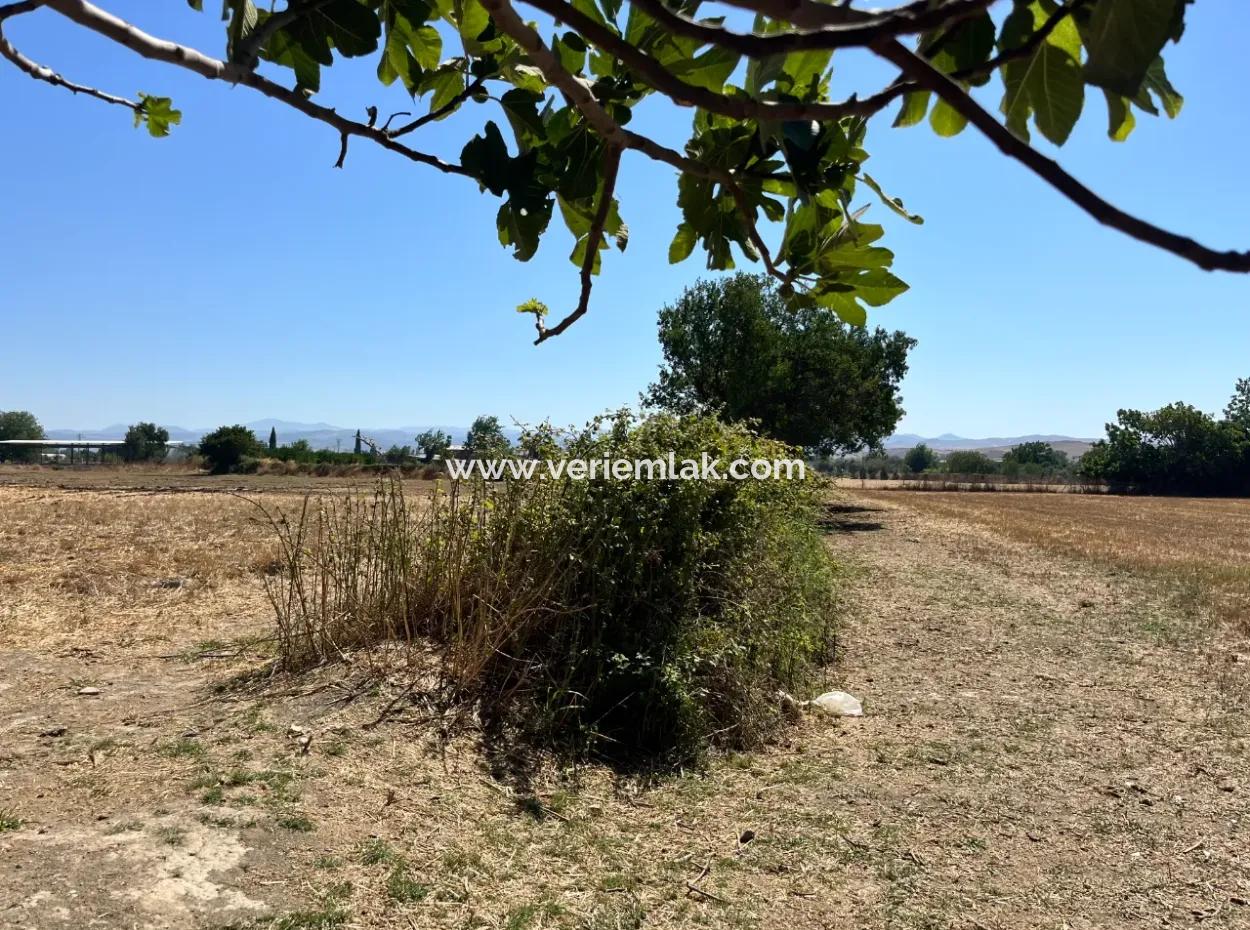 Unique Field In Seferihisar Düzce Neighborhood