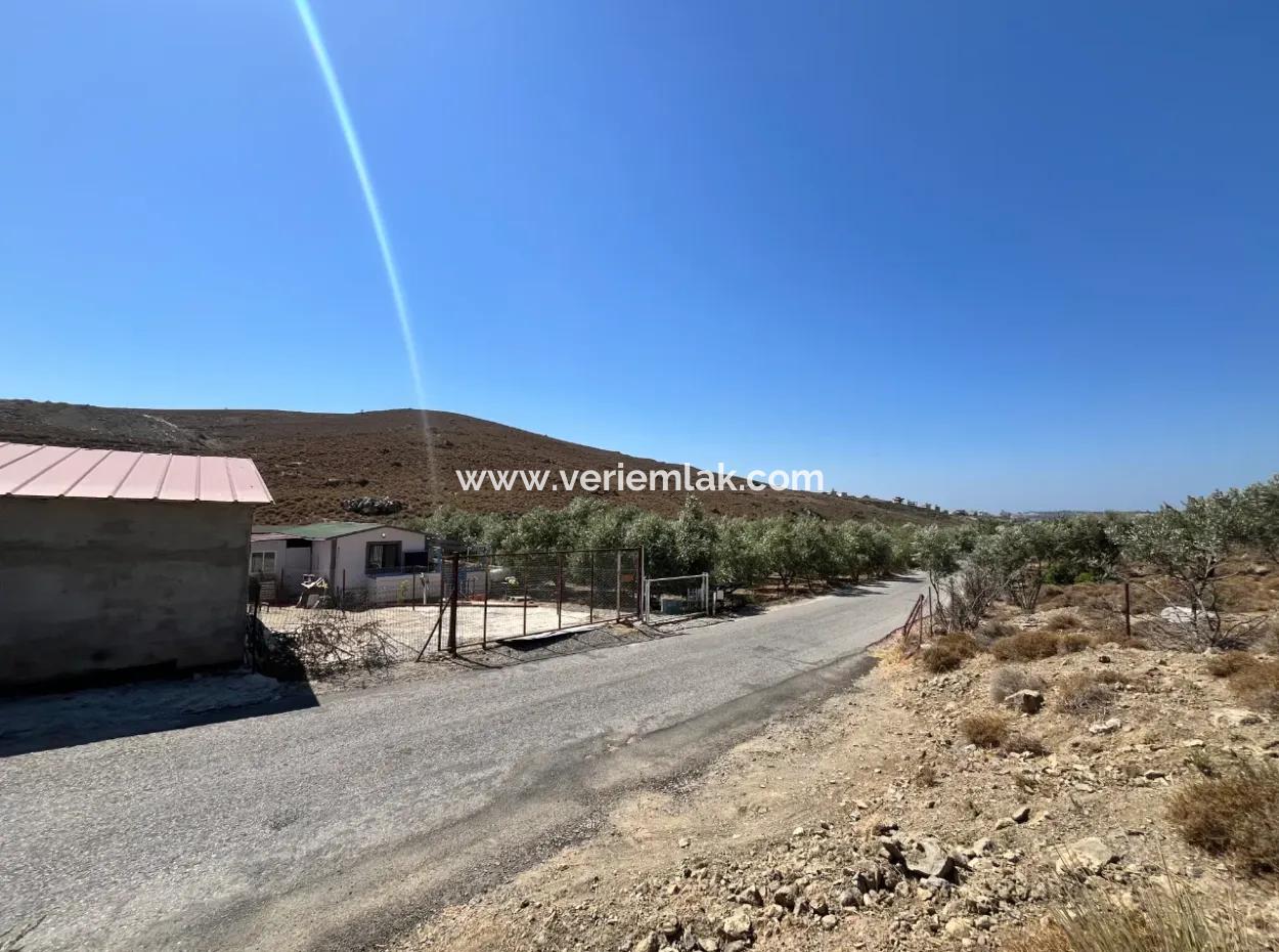 Investment Opportunity On The Road To Sığacık!