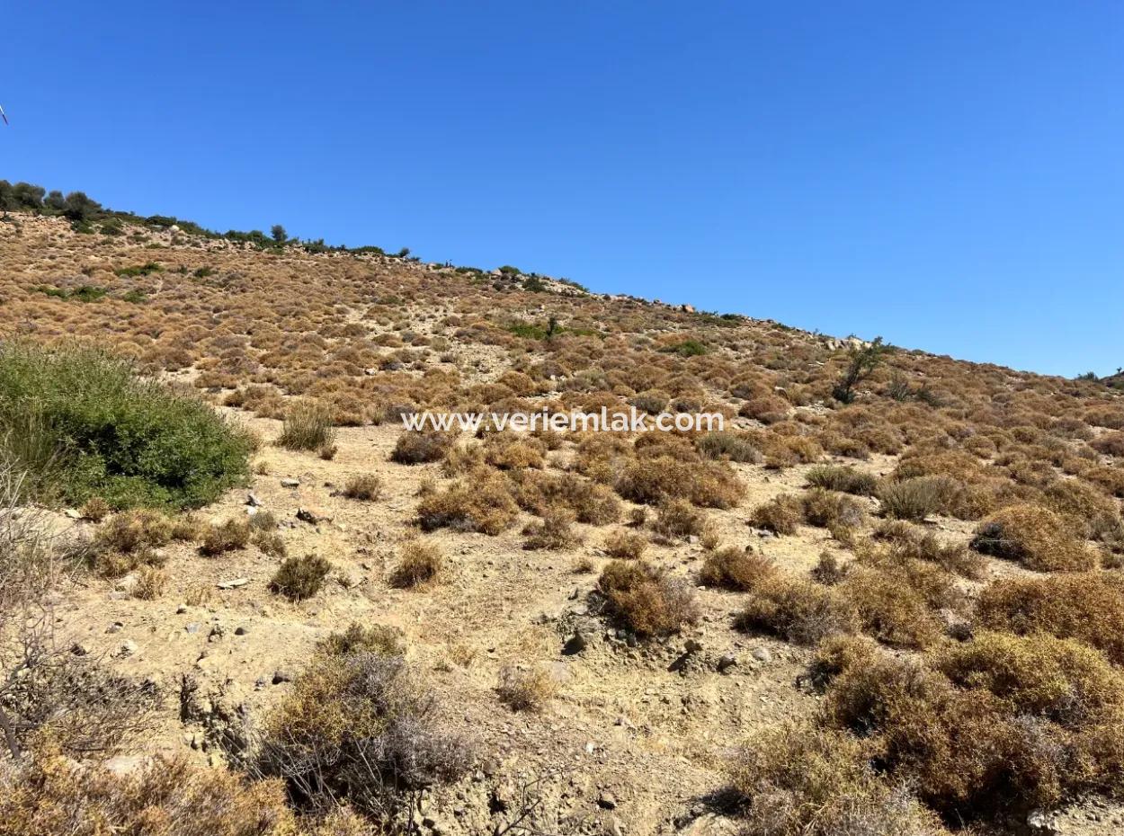 Investment Opportunity On The Road To Sığacık!