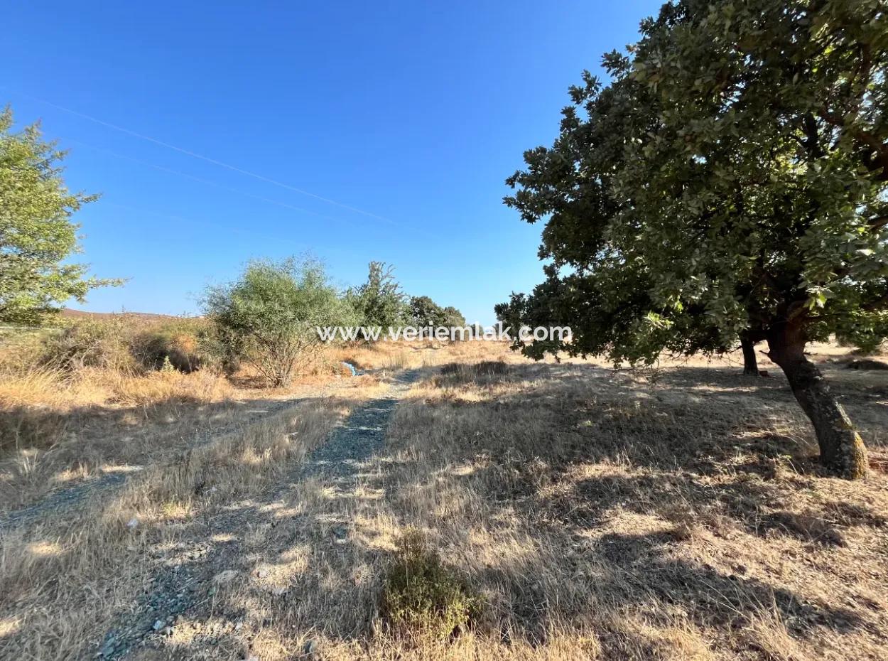 Investment Land Suitable For Twin Villa Construction In Seferihisar Akarca!