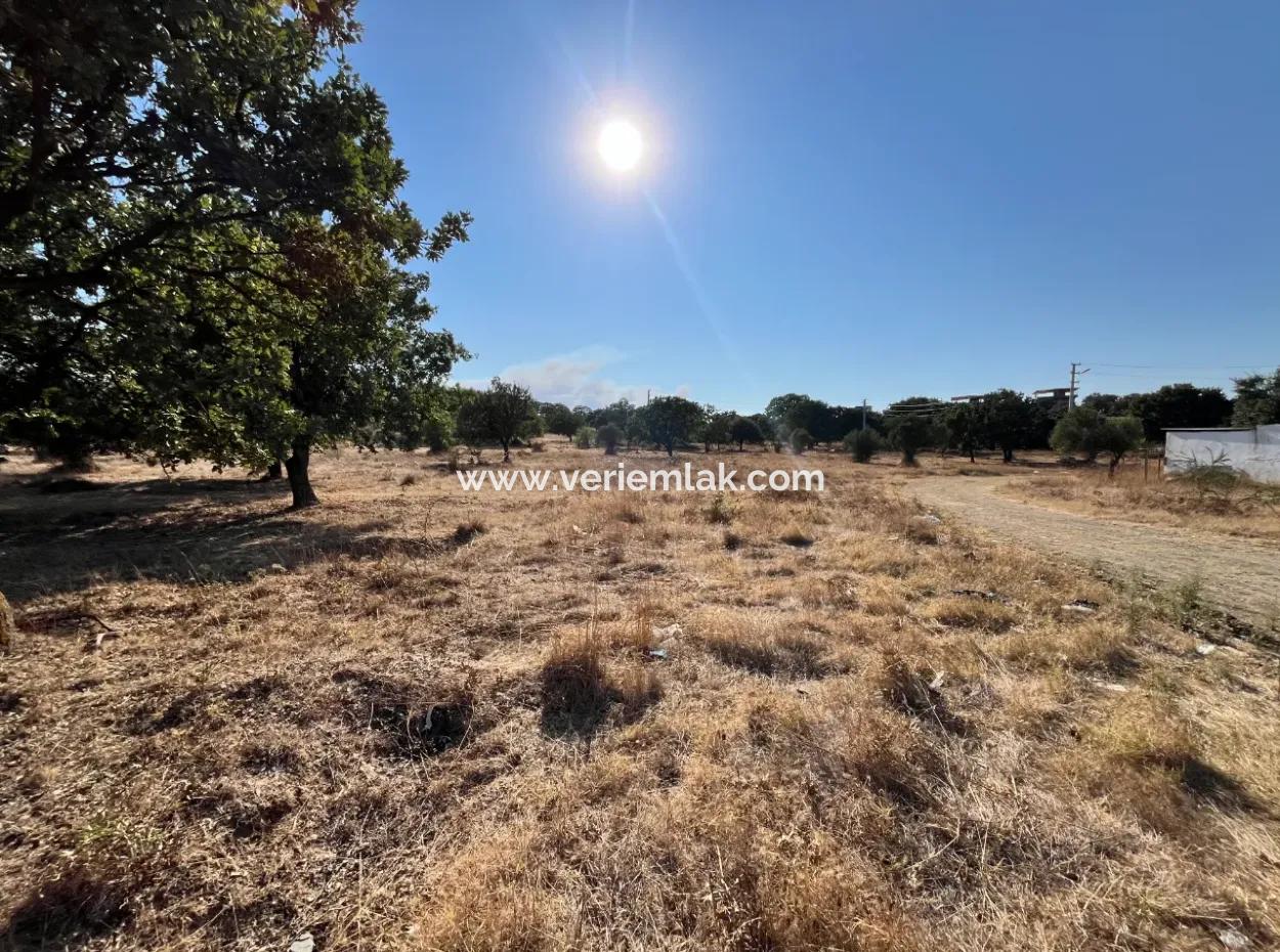 Investment Land Suitable For Twin Villa Construction In Seferihisar Akarca!