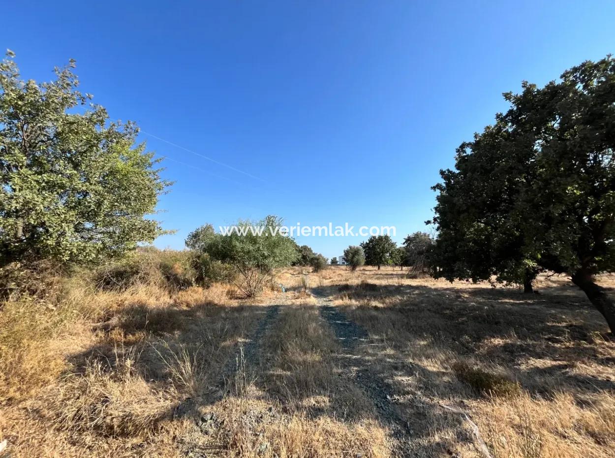 Investment Land Suitable For Twin Villa Construction In Seferihisar Akarca!
