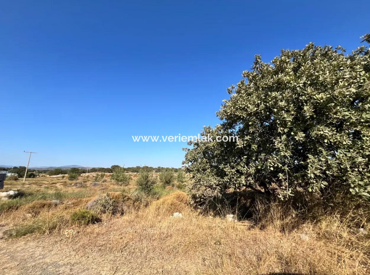 Investment Land Suitable For Twin Villa Construction In Seferihisar Akarca!