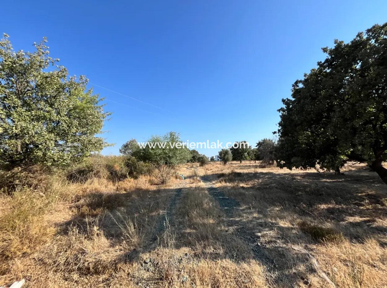 Investment Land Suitable For Twin Villa Construction In Seferihisar Akarca!