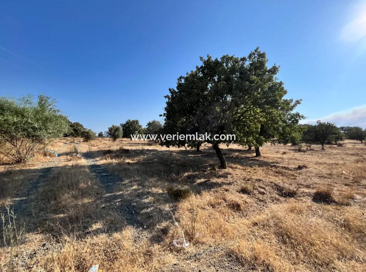 Investment Land Suitable For Twin Villa Construction In Seferihisar Akarca!