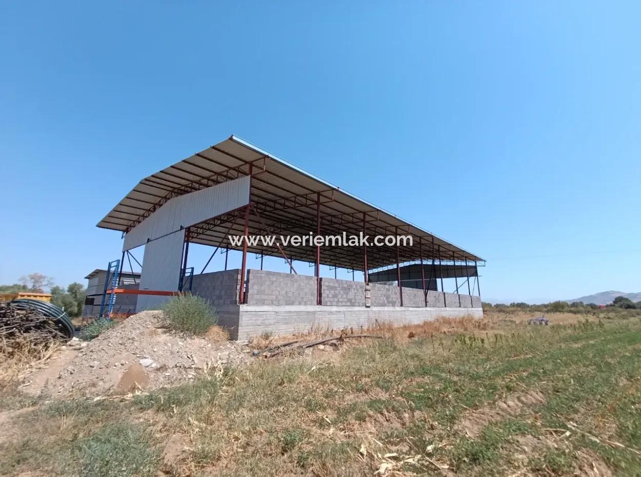 Large Plot Of Land Suitable For Farm Construction In Tire Peşrefli - Investment Opportunity!