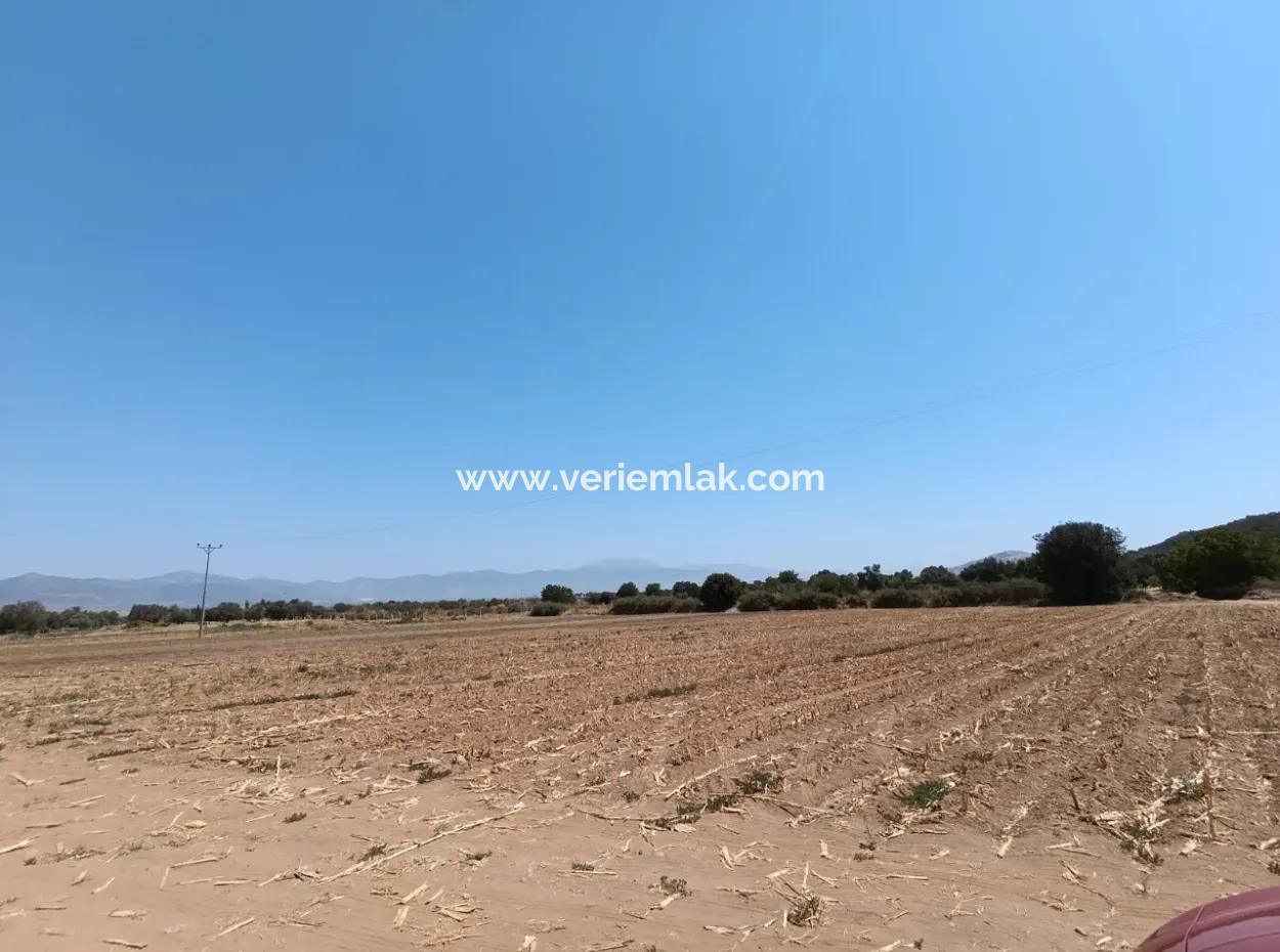 Large Plot Of Land Suitable For Farm Construction In Tire Peşrefli - Investment Opportunity!