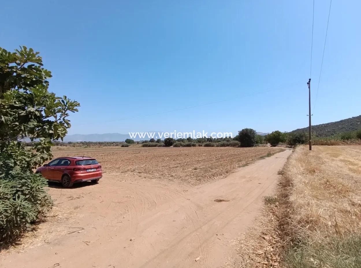 Large Plot Of Land Suitable For Farm Construction In Tire Peşrefli - Investment Opportunity!