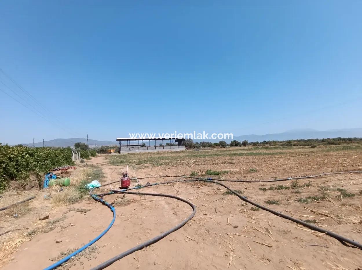 Large Plot Of Land Suitable For Farm Construction In Tire Peşrefli - Investment Opportunity!