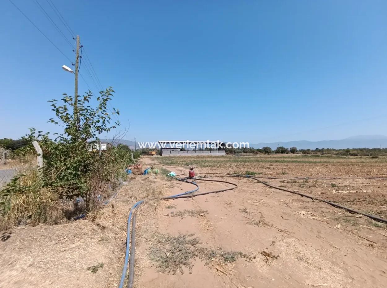 Large Plot Of Land Suitable For Farm Construction In Tire Peşrefli - Investment Opportunity!