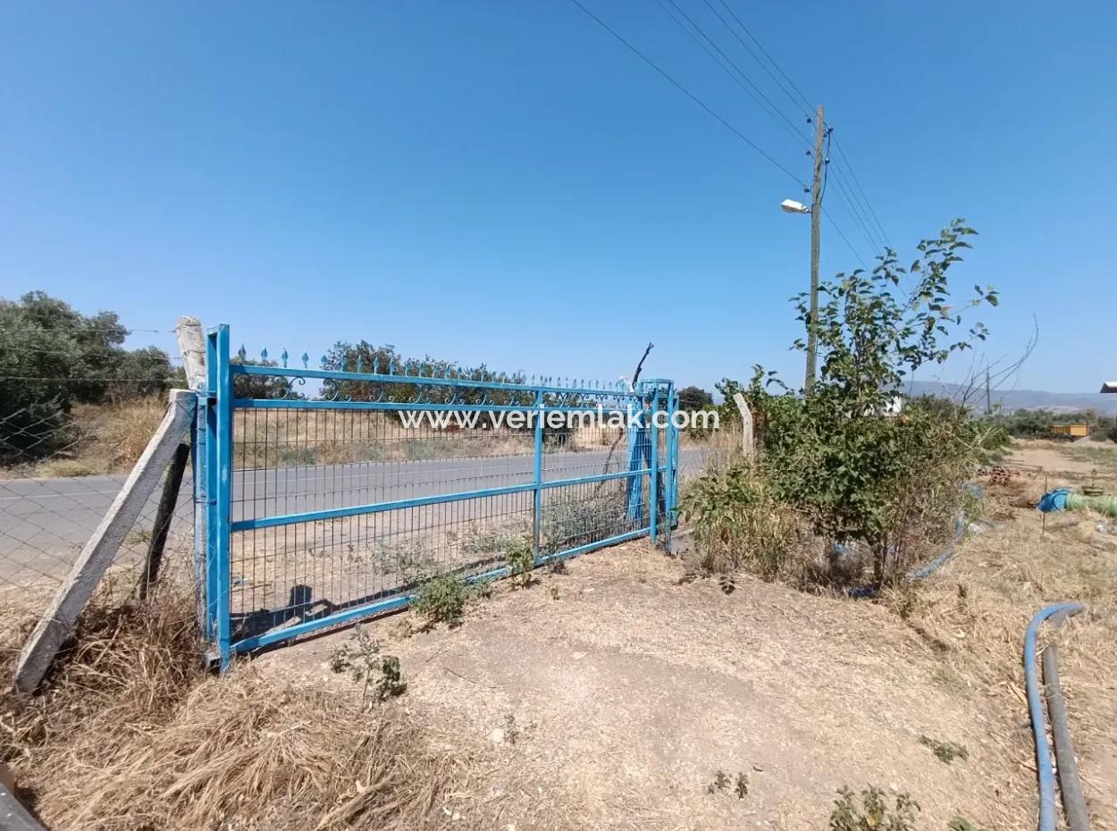 Large Plot Of Land Suitable For Farm Construction In Tire Peşrefli - Investment Opportunity!