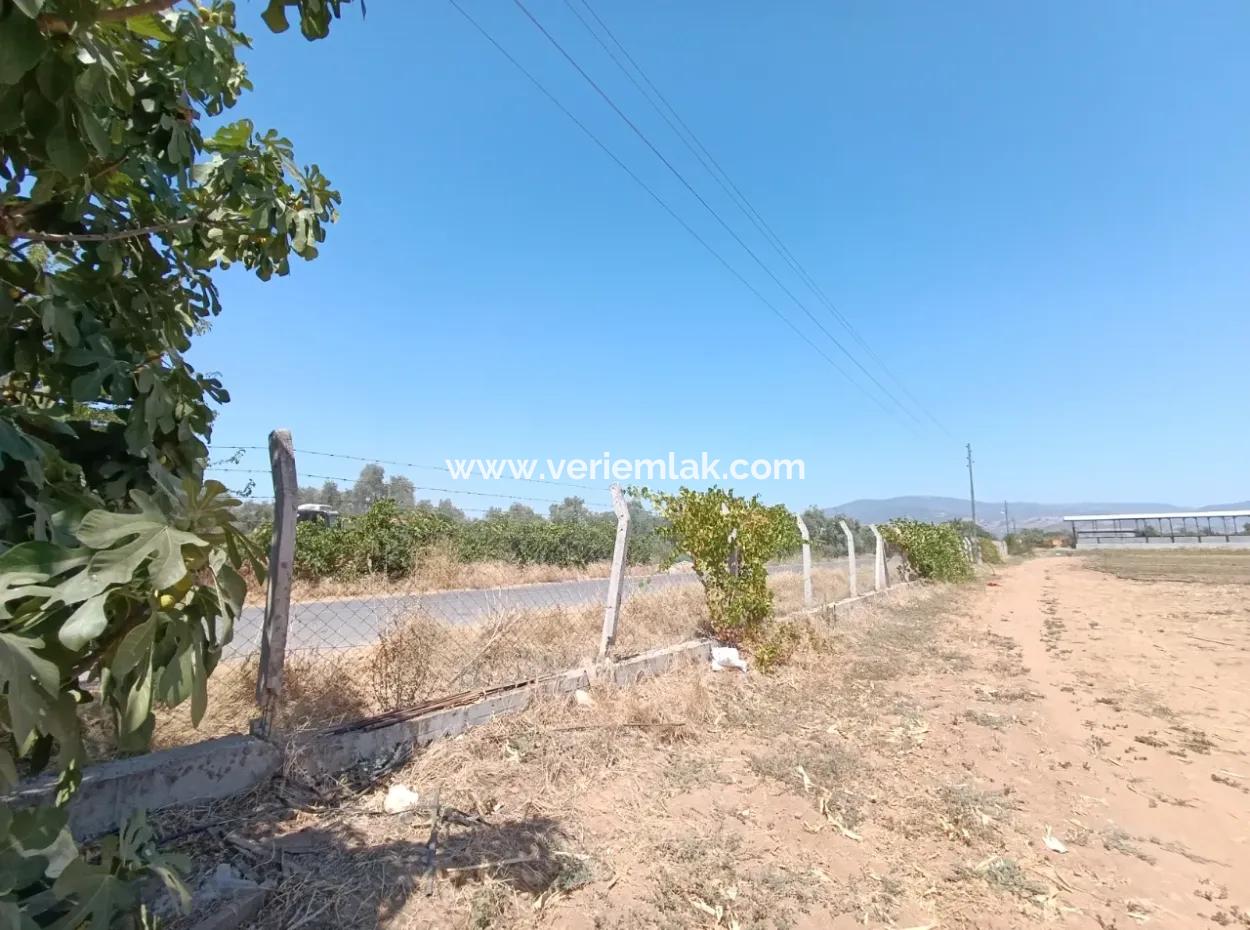Large Plot Of Land Suitable For Farm Construction In Tire Peşrefli - Investment Opportunity!