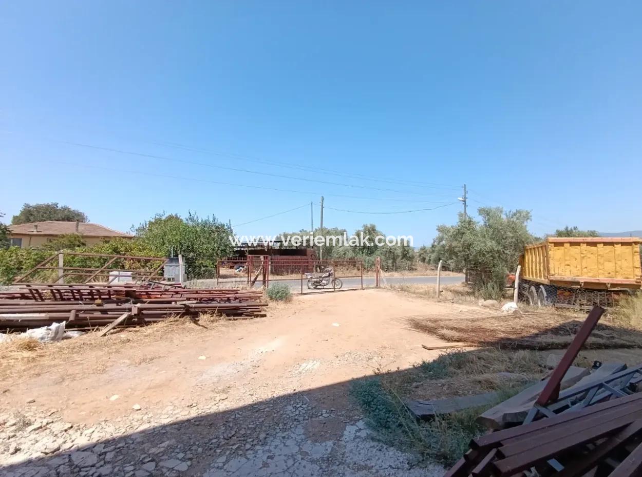 Large Plot Of Land Suitable For Farm Construction In Tire Peşrefli - Investment Opportunity!