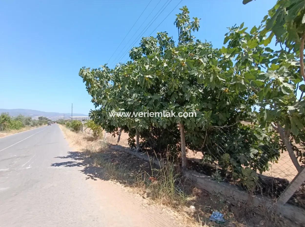 Large Plot Of Land Suitable For Farm Construction In Tire Peşrefli - Investment Opportunity!