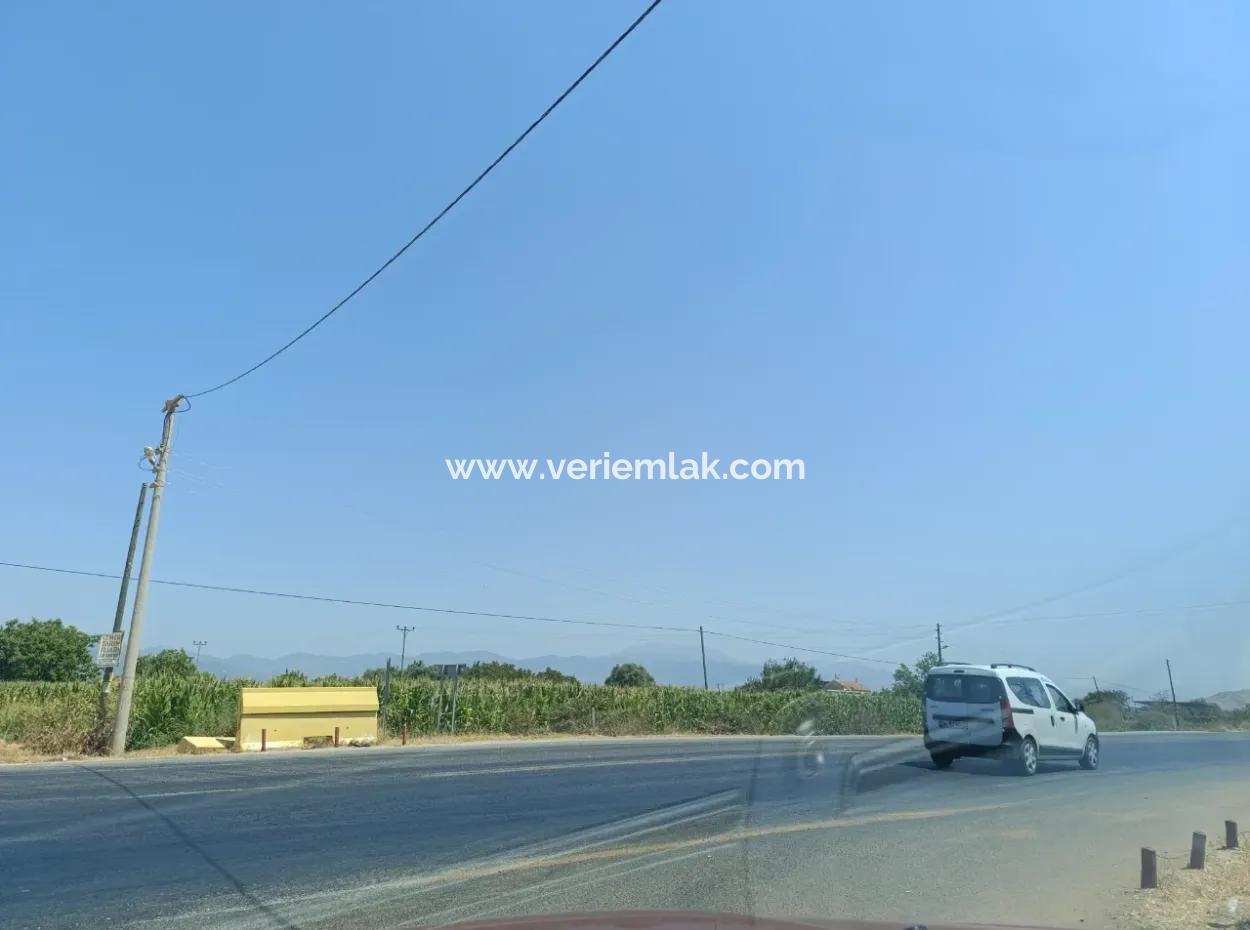 Large Plot Of Land Suitable For Farm Construction In Tire Peşrefli - Investment Opportunity!