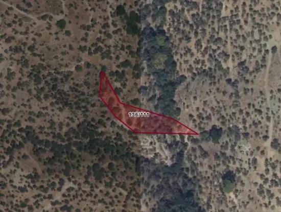 Olive Grove For Sale In Seferihisar Gödence, Close To The Main Road, For Investment