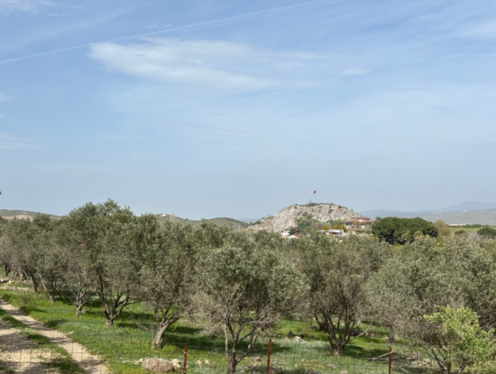 8574 M2 Field For Sale With Sea View In Seferihisar Hidirlik Neighborhood