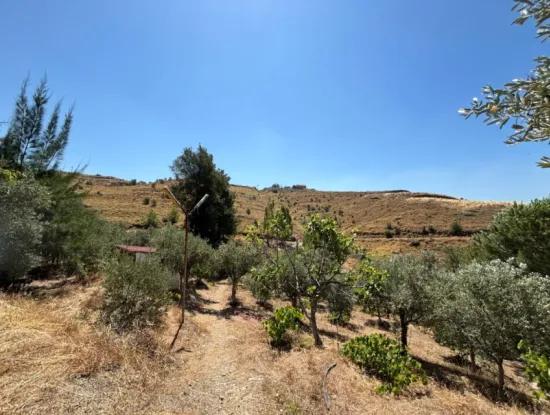 Investment Villa Zoned Land In Seferihisar Bahçeköy Region!