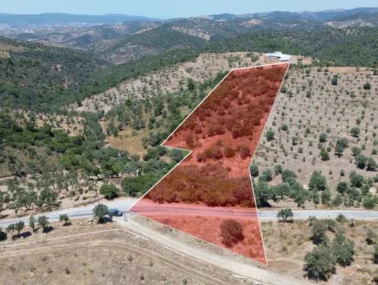 11.800 M² Land For Sale With Main Road Frontage On Seferihisar State Hospital | Unique Opportunity For Investment