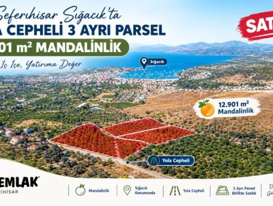 12.901 M² Tangerine Garden In Seferihisar Sığacık Taşdibi Area