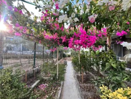 Detached Villa With Sea View And Large Garden In Akarca, Seferihisar