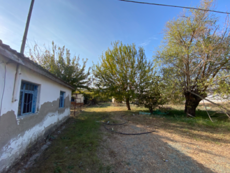 12.200 M2 Field For Sale Suitable For Agriculture In Seferihisar Düzce Neighborhood