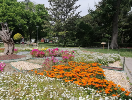 Near Alsancak Mimarsinan Street Opposite Ege Sağlık Hospital 1 1 Furnished Apartment For Rent!