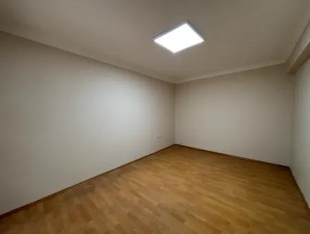 3 1 Apartment For Rent In A Young Building Near Alsancak Kordon