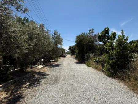 Private Villa With Large Garden In Akarca, Within Walking Distance Of The Sea!