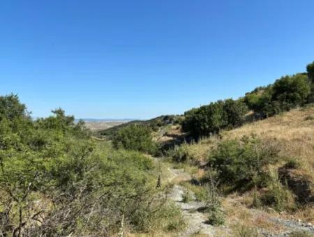 New Zoning Past In Doğanbey Atatürk District, Villa Zoned 311 M² Parcel