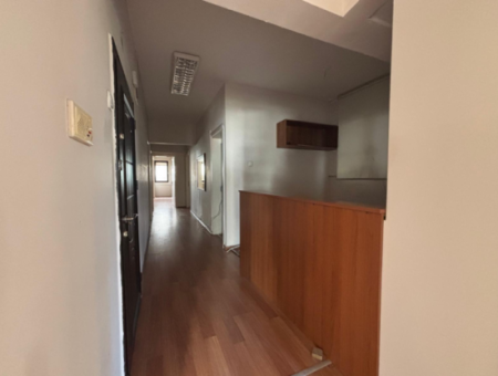 Near Alsancak Swiss Hotel 3 1 170M2 3Rd Floor Business For Rent / Office