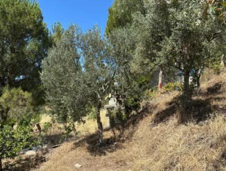 Investment Villa Zoned Land In Seferihisar Bahçeköy Region!