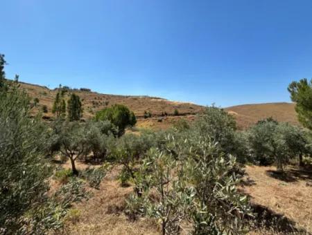 Investment Villa Zoned Land In Seferihisar Bahçeköy Region!