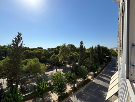 Alsancak Kahramanlar Fair View 3 1 Free Rental Apartment!