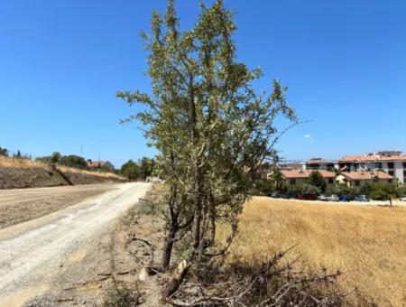 Land For Sale In Seferihisar Çolakibrahimbey Neighborhood Suitable For Horizontal Architecture And Suitable For Villa Construction