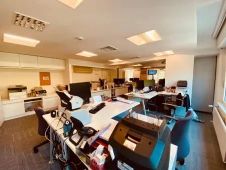250 M² Prestigious Workplace For Rent On Alsancak Vasif Çinar Boulevard