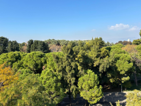 3 1 Furnished Flat For Sale With Fairfront Without Masra In Alsancak Kahramanlar!