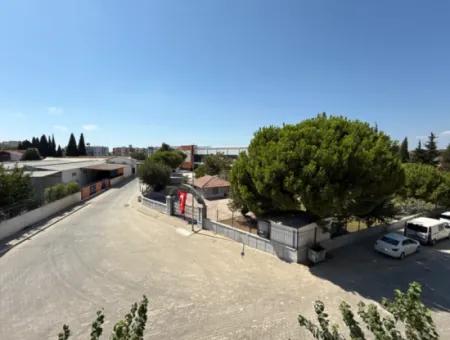 Spacious 3 1 Flat With Corner Location In Seferihisar Çolakibrahimbey