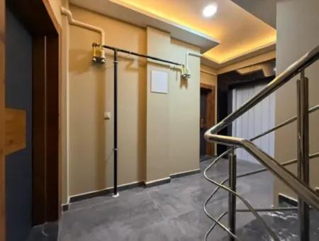 Modern And Spacious 2 1 Flats In Central Location