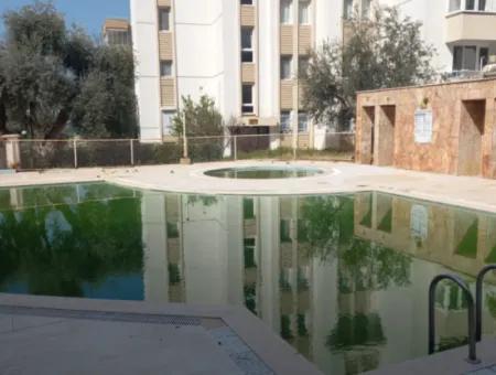 Furnished 2 1 Flat For Rent With Pool In Kuşadası Zeytin Tepe Sitesi