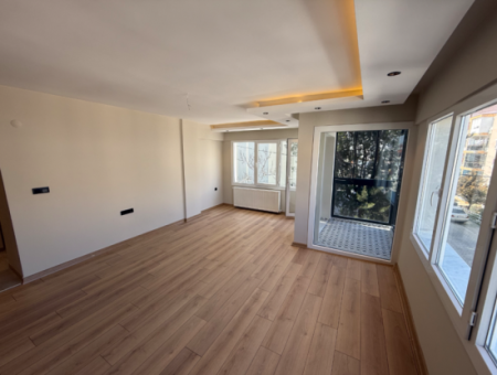 Corner Mezzanine Flat Close To The Street On The Press Site