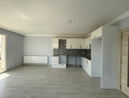 Spacious 1 1 Flat For Rent In Seferihisar Çolakibrahimbey Neighborhood